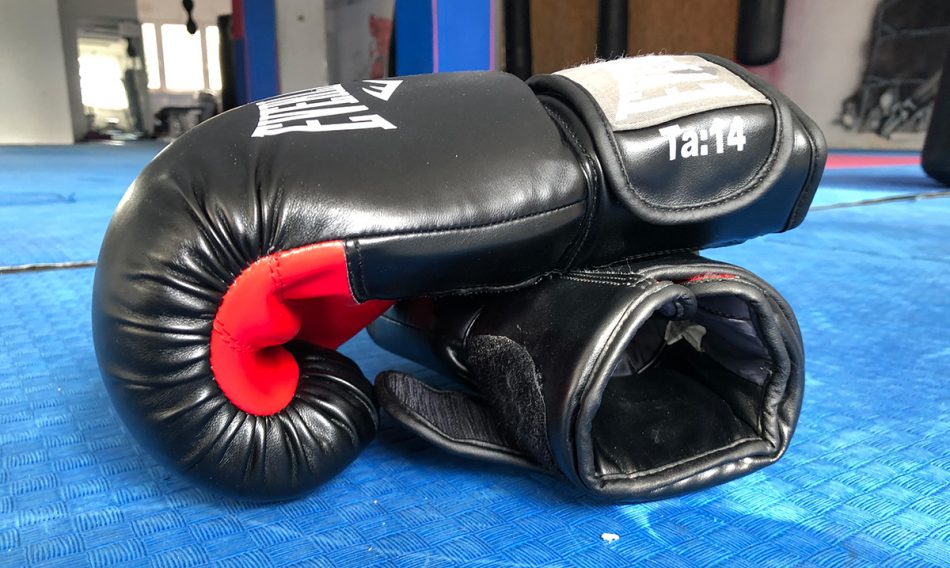 Everlast 14 oz Gloves Review Martial Arts Encyclopedia