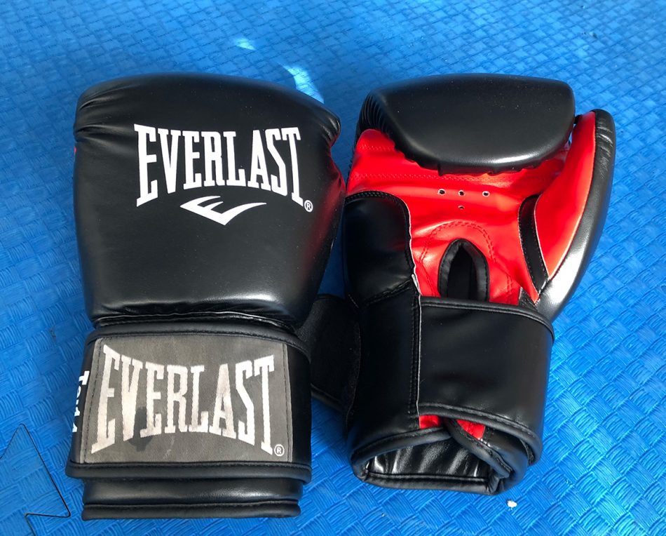 Everlast 14 oz Gloves Review Martial Arts Encyclopedia