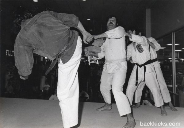 Ishin Ryu karate demo