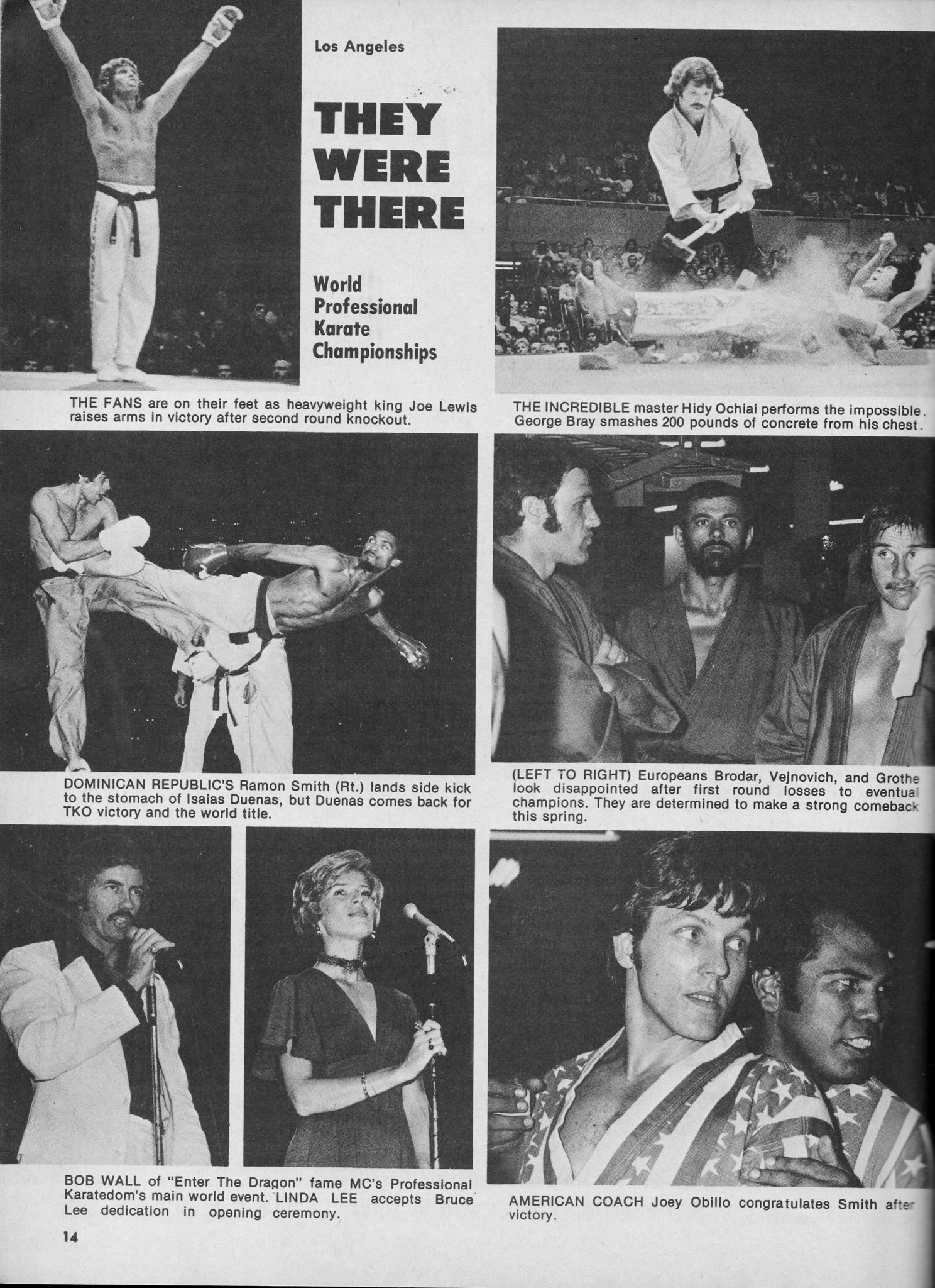 World Professional Karate Championships 1974 Martial Arts Encyclopedia